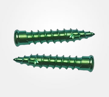 SCREW FOR CERVICAL CAGE